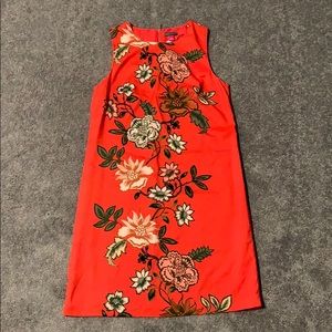 NWT Vince Camuto shift dress